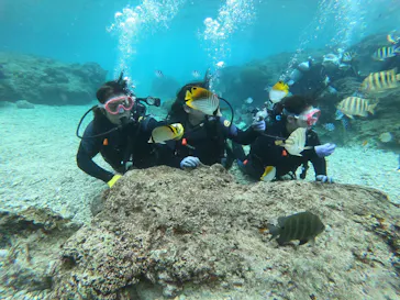 武藤潜水に投稿された画像（2022/12/31）