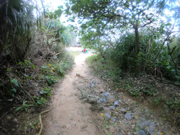 武藤潜水に投稿された画像（2022/12/31）