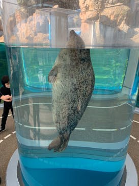京都水族館に投稿された画像（2022/12/31）