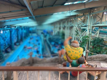 スパリゾートハワイアンズに投稿された画像（2022/12/31）