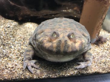 サンシャイン水族館に投稿された画像（2022/12/31）