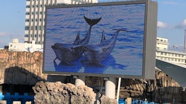 名古屋港水族館に投稿された画像（2022/12/31）