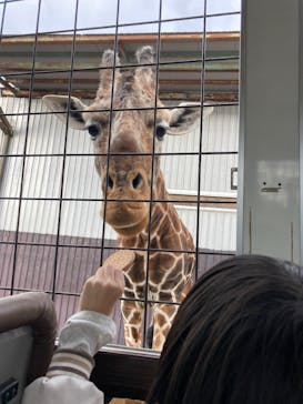 那須サファリパークに投稿された画像（2022/12/31）