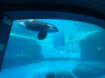名古屋港水族館に投稿された画像（2022/12/31）