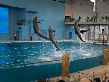 横浜・八景島シーパラダイスに投稿された画像（2022/12/31）