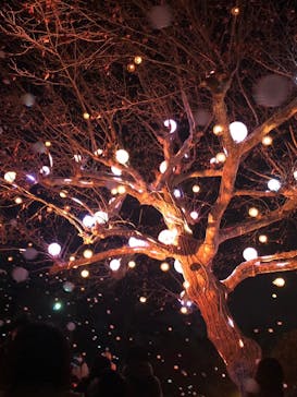 西武園ゆうえんちに投稿された画像（2022/12/31）