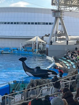 名古屋港水族館に投稿された画像（2022/12/31）
