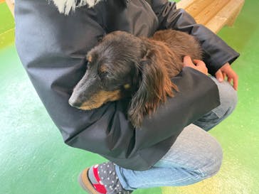 長崎バイオパークに投稿された画像（2022/12/31）