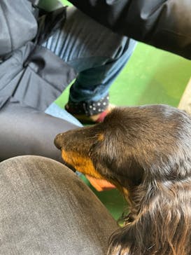 長崎バイオパークに投稿された画像（2022/12/31）