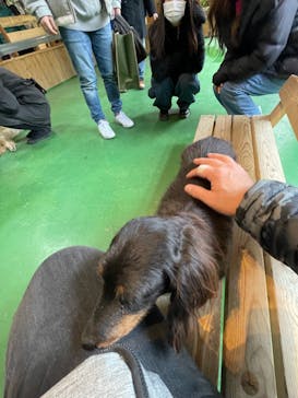 長崎バイオパークに投稿された画像（2022/12/31）