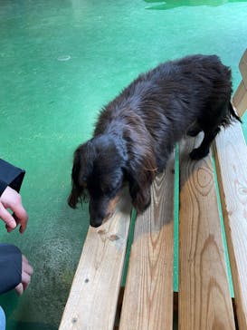 長崎バイオパークに投稿された画像（2022/12/31）