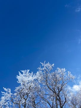 スノーリゾート　ロマンスの神様に投稿された画像（2022/12/31）