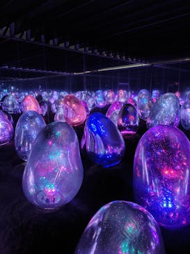 チームラボプラネッツ TOKYO DMMに投稿された画像（2022/12/31）