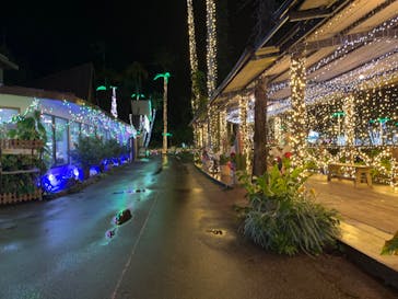 美らヤシパークオキナワ・東南植物楽園に投稿された画像（2022/12/31）