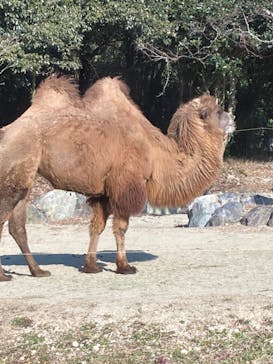 姫路セントラルパークに投稿された画像（2022/12/31）