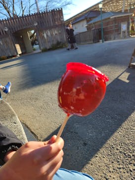 西武園ゆうえんちに投稿された画像（2022/12/31）