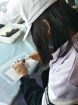 アクアワールド茨城県大洗水族館に投稿された画像（2022/12/31）