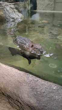 神戸どうぶつ王国に投稿された画像（2022/12/31）