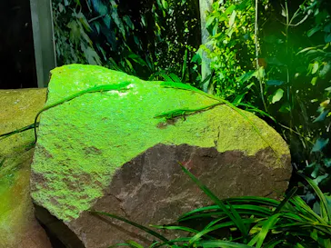 神戸どうぶつ王国に投稿された画像（2022/12/31）