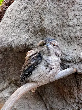 神戸どうぶつ王国に投稿された画像（2022/12/31）