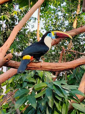 神戸どうぶつ王国に投稿された画像（2022/12/31）