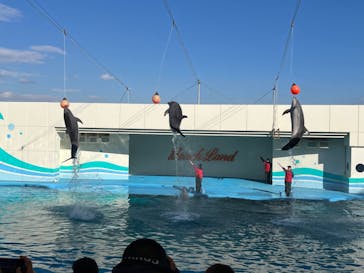 南知多ビーチランド＆南知多おもちゃ王国に投稿された画像（2022/12/31）