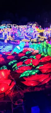 伊豆ぐらんぱる公園に投稿された画像（2022/12/31）