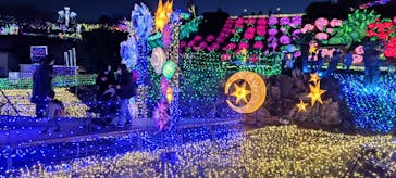 伊豆ぐらんぱる公園に投稿された画像（2022/12/31）