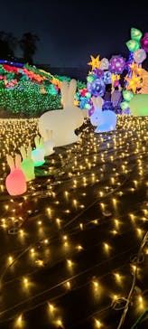 伊豆ぐらんぱる公園に投稿された画像（2022/12/31）