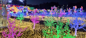 伊豆ぐらんぱる公園に投稿された画像（2022/12/31）