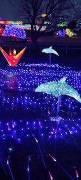 伊豆ぐらんぱる公園に投稿された画像（2022/12/31）