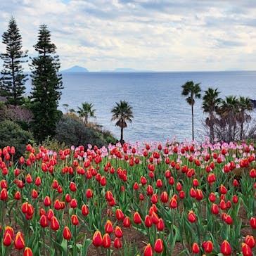 ニューヨークランプミュージアム＆フラワーガーデンに投稿された画像（2022/12/31）