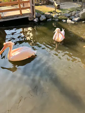 神戸どうぶつ王国に投稿された画像（2022/12/31）