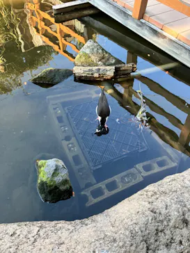 神戸どうぶつ王国に投稿された画像（2022/12/31）