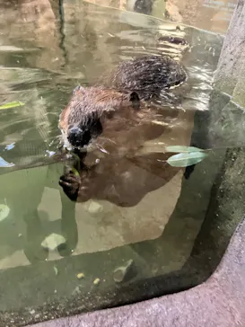 神戸どうぶつ王国に投稿された画像（2022/12/31）