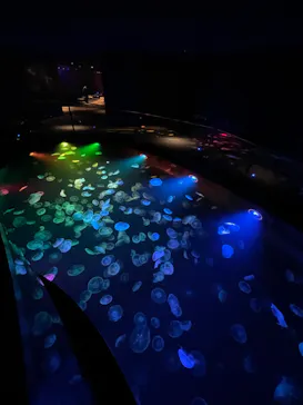 すみだ水族館に投稿された画像（2022/12/31）