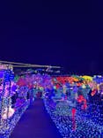 伊豆ぐらんぱる公園に投稿された画像（2022/12/31）