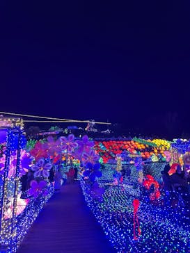 伊豆ぐらんぱる公園に投稿された画像（2022/12/31）