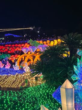 伊豆ぐらんぱる公園に投稿された画像（2022/12/31）