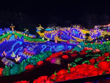 伊豆ぐらんぱる公園に投稿された画像（2022/12/31）