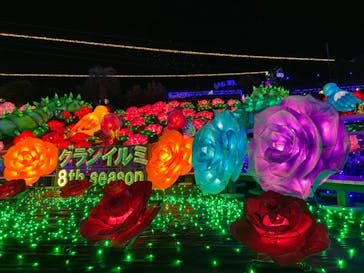 伊豆ぐらんぱる公園に投稿された画像（2022/12/31）