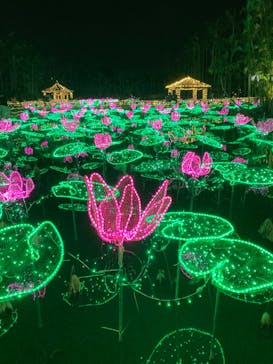 美らヤシパークオキナワ・東南植物楽園に投稿された画像（2022/12/31）