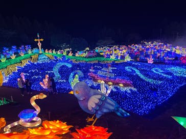 伊豆ぐらんぱる公園に投稿された画像（2022/12/31）