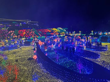 伊豆ぐらんぱる公園に投稿された画像（2022/12/31）