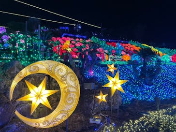 伊豆ぐらんぱる公園に投稿された画像（2022/12/31）