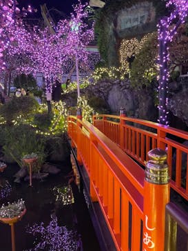 浅草花やしきに投稿された画像（2022/12/31）