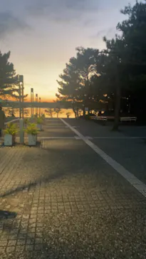 横浜・八景島シーパラダイスに投稿された画像（2022/12/31）