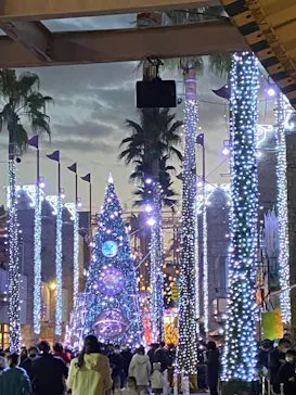 ひらかたパークに投稿された画像（2022/12/31）