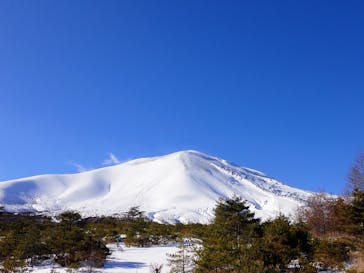 軽井沢スノーパークに投稿された画像（2022/12/31）