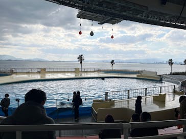 マリンワールド海の中道に投稿された画像（2022/12/31）